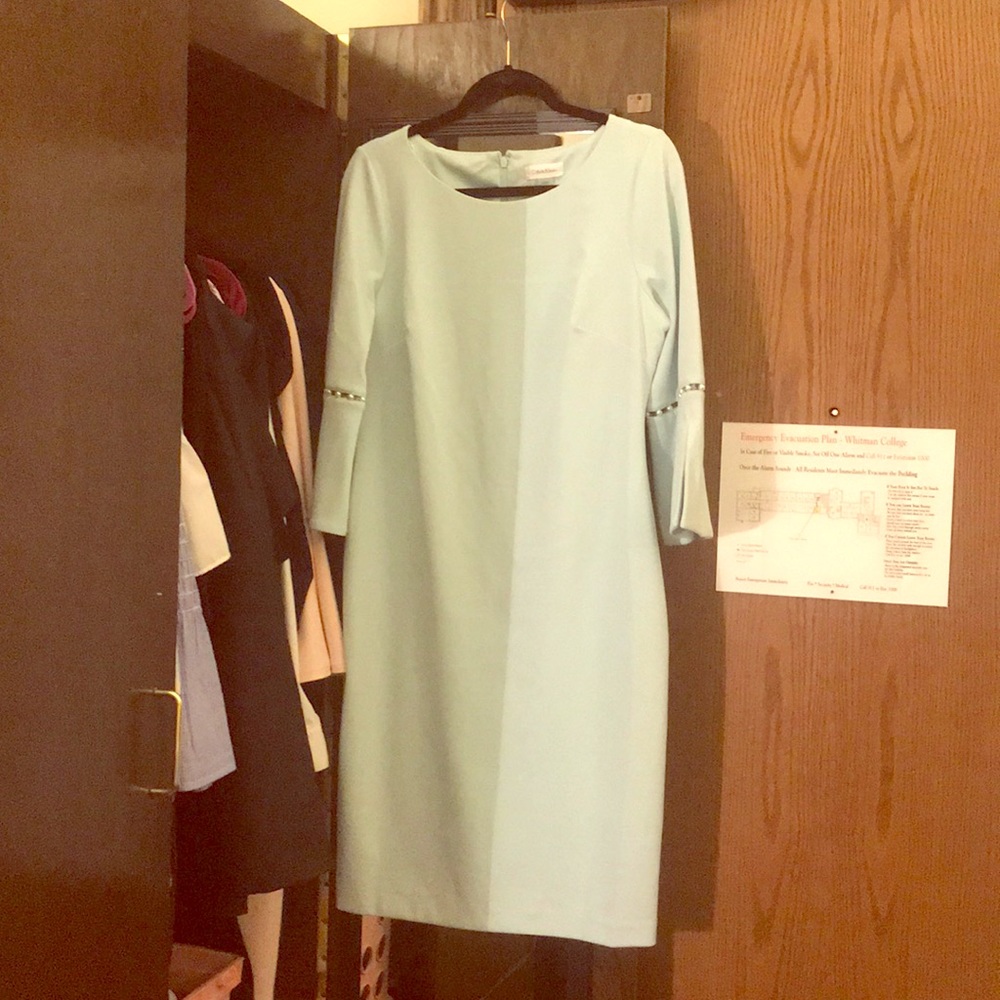 Calvin Klein Bell Sleeve Dress with Pearl Detail